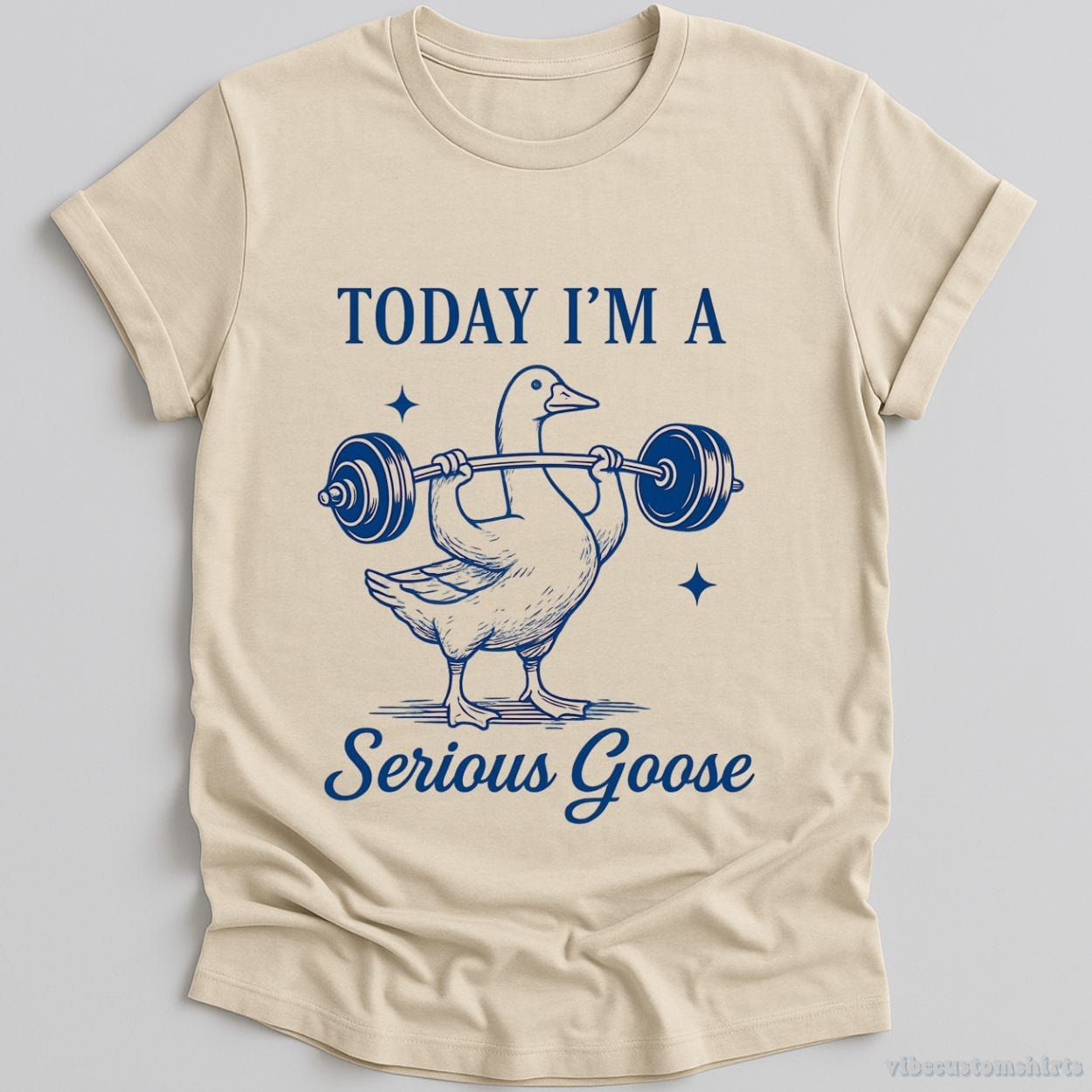 Today I'm A Serious Goose Funny Gym Shirt product image 1