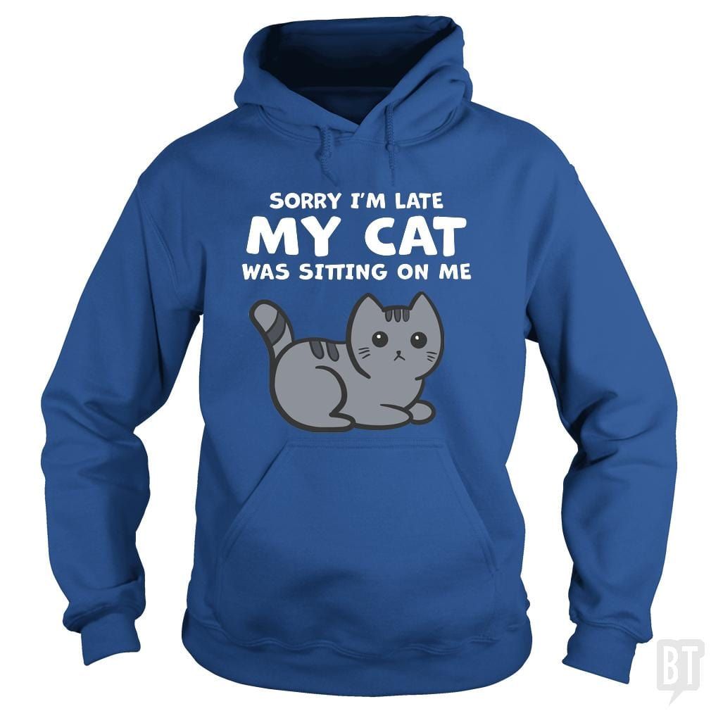 Sorry I'm Late My Cat Was Sitting On Me Hoodie product image 4