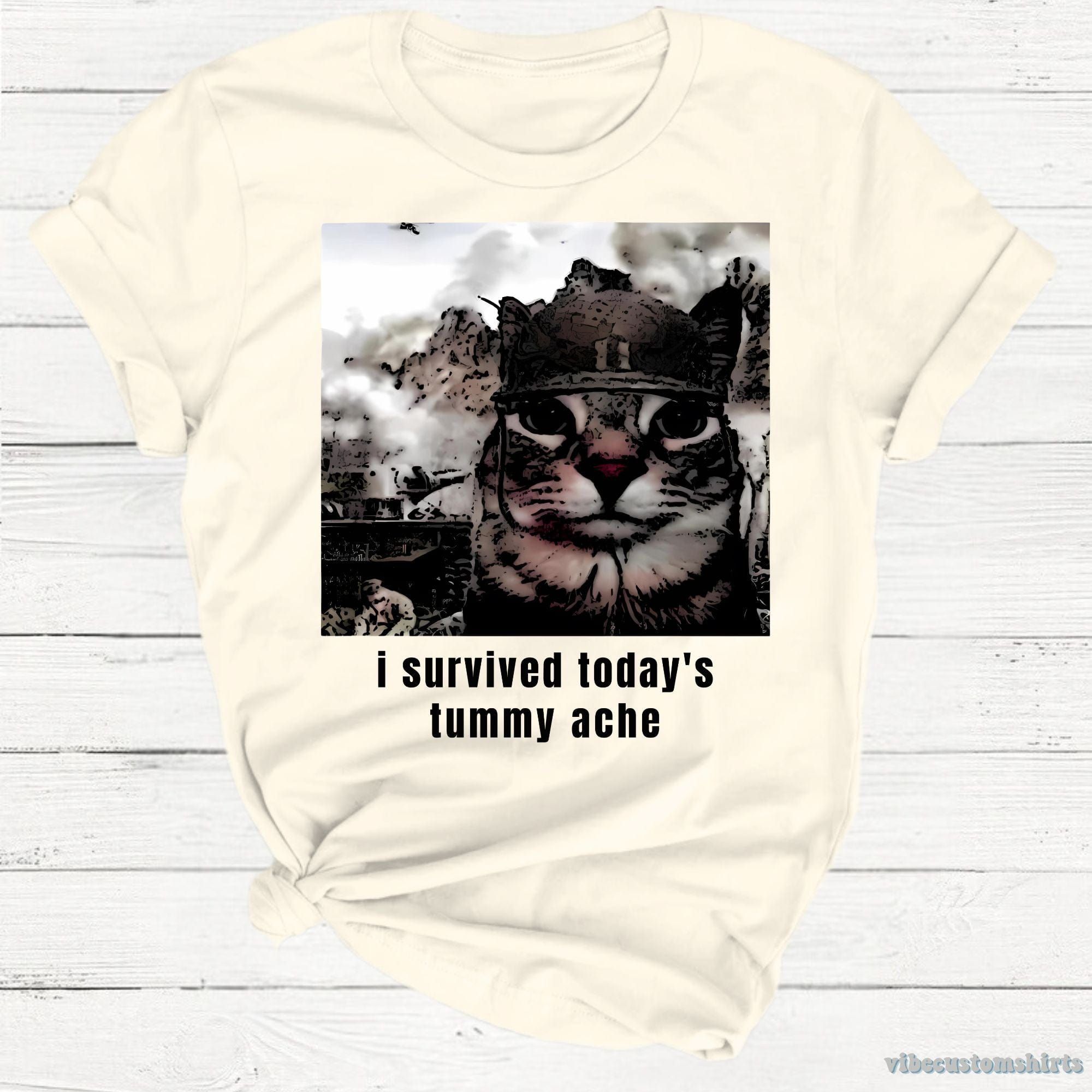 I Survived Today's Tummy Ache Sarcastic Army Cat Meme Shirt product image 2