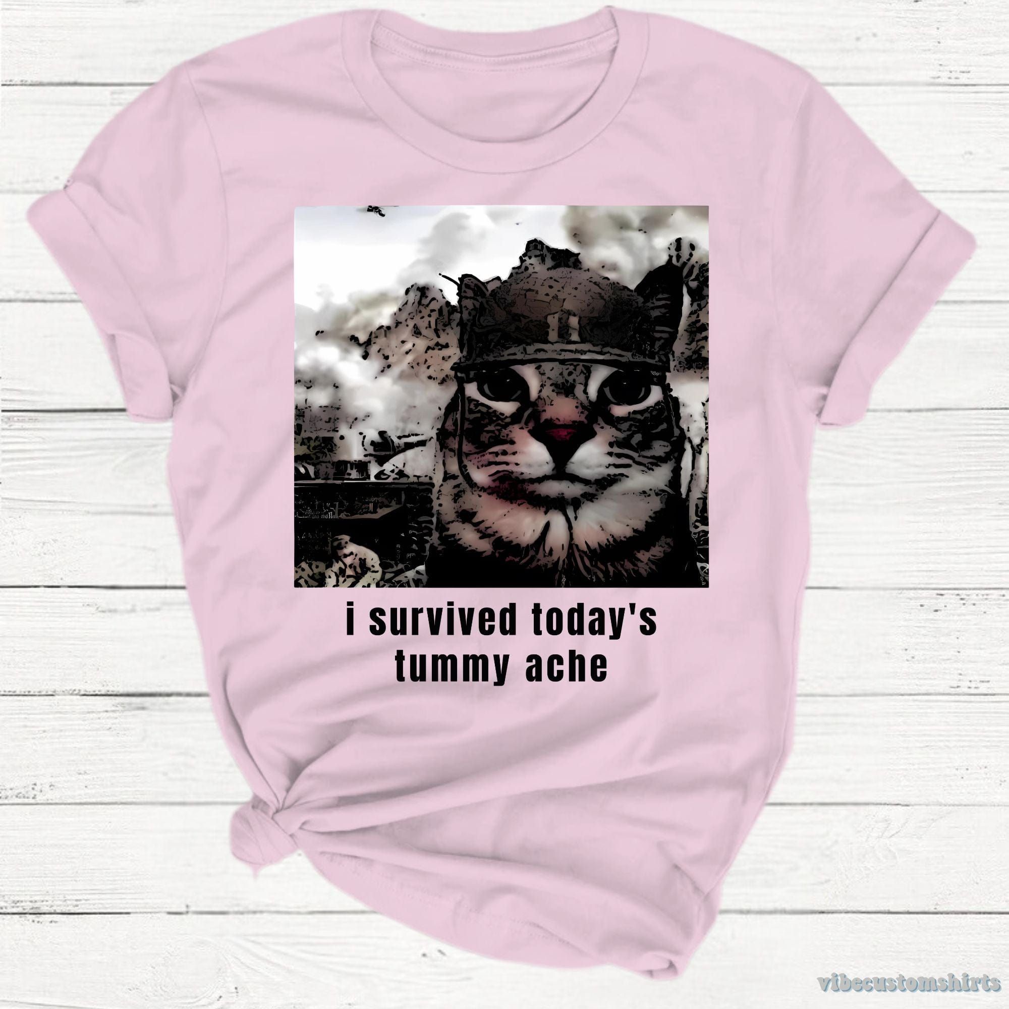 I Survived Today's Tummy Ache Sarcastic Army Cat Meme Shirt product image 4