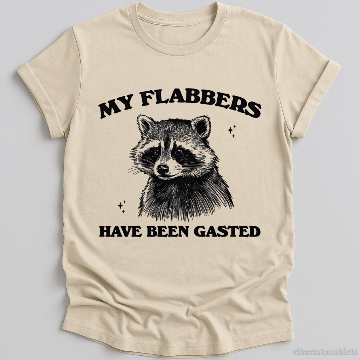 My Flabbers Have Been Gasted Raccoon Meme Shirt product image 1