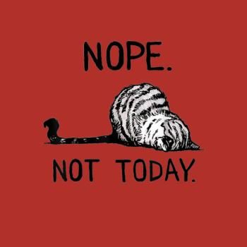 Nope Not Today Cat - tshirt product image 11
