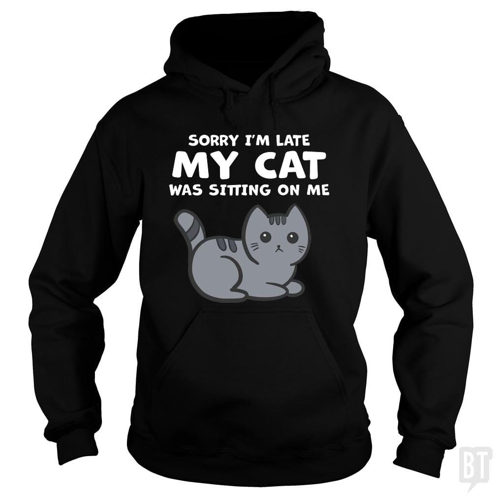 Sorry I'm Late My Cat Was Sitting On Me Hoodie product image 1