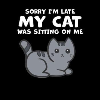 Sorry I'm Late My Cat Was Sitting On Me Hoodie product image 5