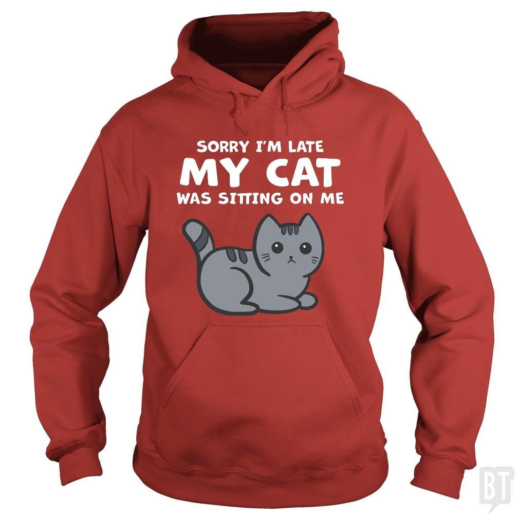 Sorry I'm Late My Cat Was Sitting On Me Hoodie product image 3