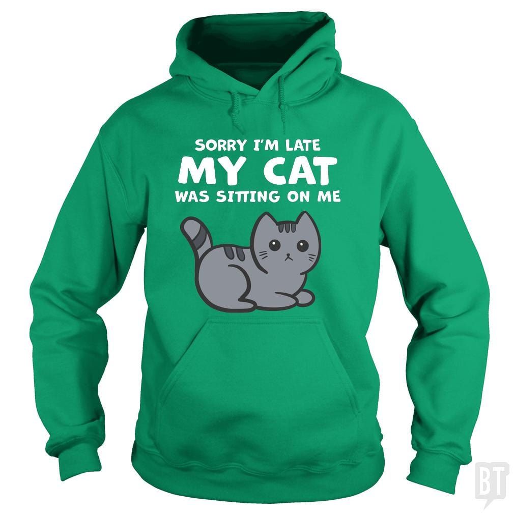 Sorry I'm Late My Cat Was Sitting On Me Hoodie product image 2